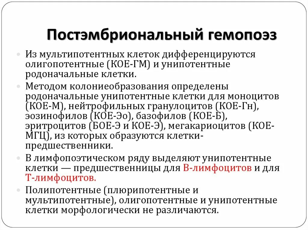 Эмбриональный гемопоэз. Постэмбриональный лимфопоэз. Постэмбриональный гемопоэз. Схема постэмбрионального гемопоэза. Пост эмбриональный оемопоэз.