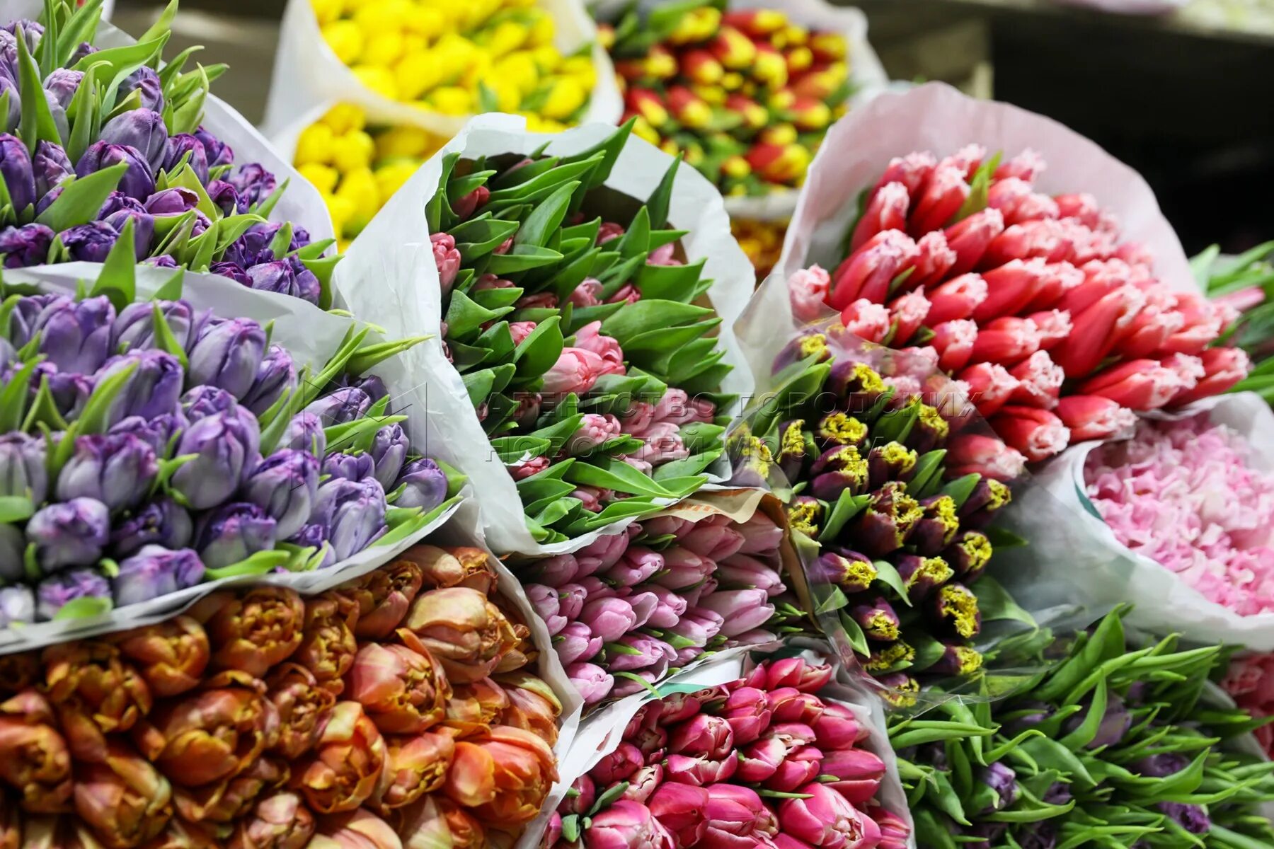 Рижский рынок цены на цветы 2024. Цветочный рынок. Рижский рынок букеты. Букет цветов Рижский рынок.