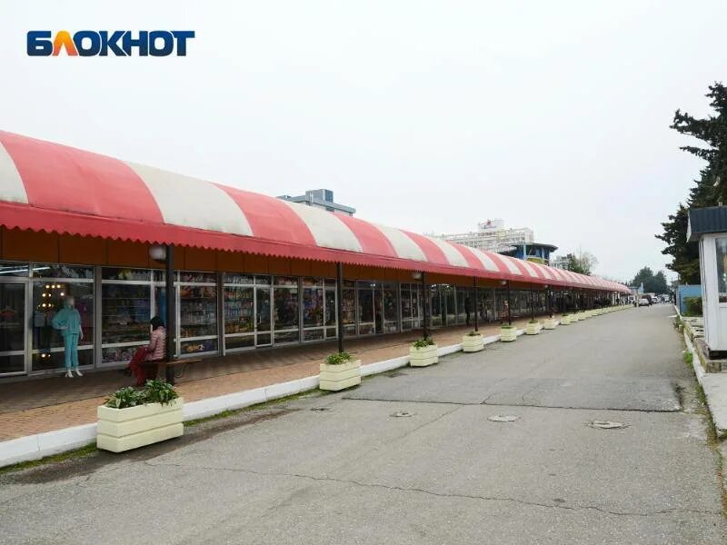 Лого сочи 2014 белый лого. Образ игр-голубой" (сочи-2014) 60зк6вмв1гр_08887 хатбер. М клетка на гребне выб лак классики. Зимние пляжи в сочи. Блокнот сочи сегодня.