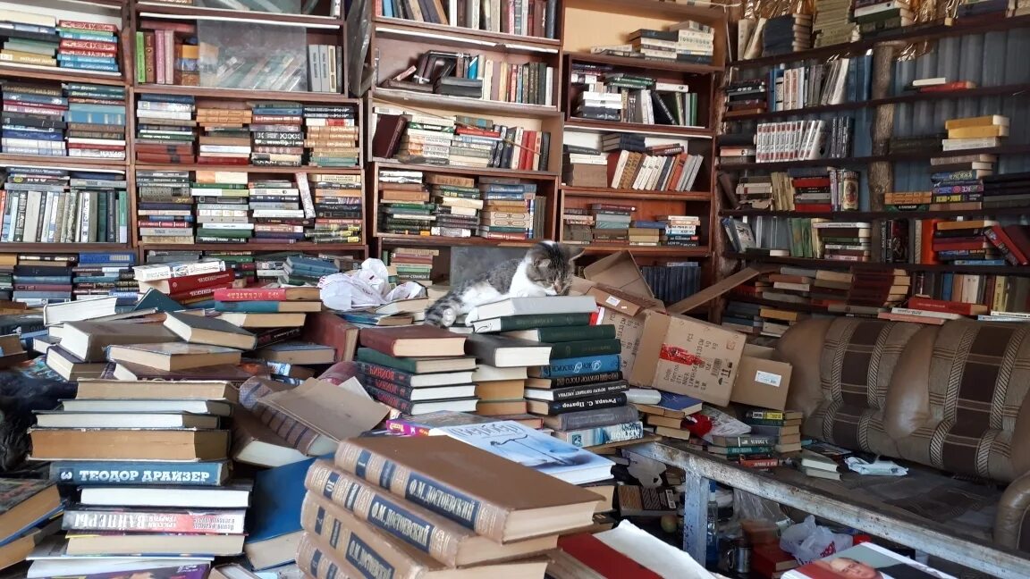 Книжный рынок. Книжный рынок