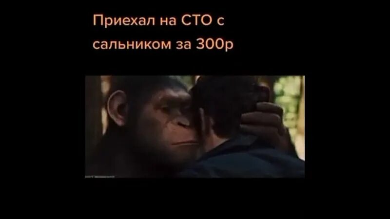 Планета обезьян шёпот. Обезьяна шепчет на ухо. Цезарь планета обезьян мем. Мем ты такие вещи не говори планета обезьян. Цезарь обезьяна фильм 3.