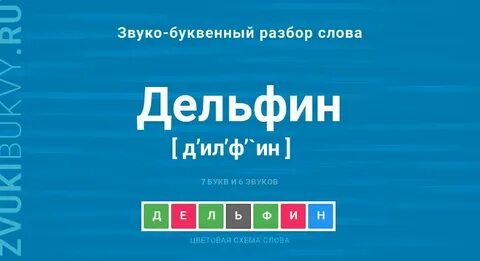 Сколько звуков в слове дельфин