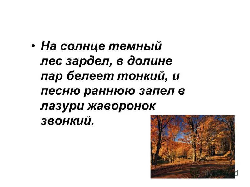 Песни ранним солнечным. Лес зардел. На солнце темный лес зардел в долине. На солнце темный лес зардел в долине пар Белеет тонкий. На солнце темный лес зардел в долине пар Белеет тонкий и песню.