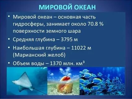 Стратегия мирового океана