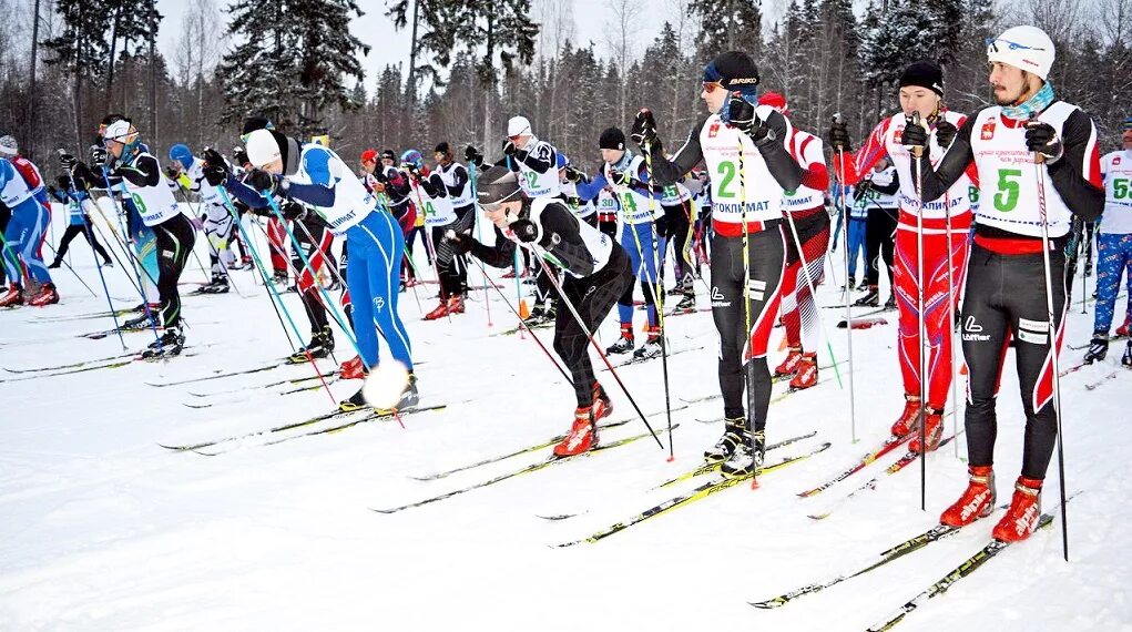 Спортивная лыжная база. Пермские медведи Пермь лыжная база. Лыжные гонки Пермь. Лыжная гонка Пермь.