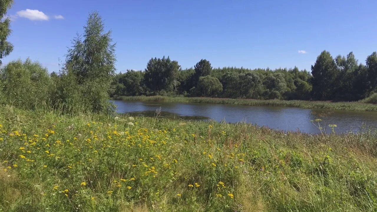 Усадьба храповицких село кощино. Кощино усадьба. Озеро в кощино смоленская область. Кощино смоленский. Кощинское озеро смоленск.
