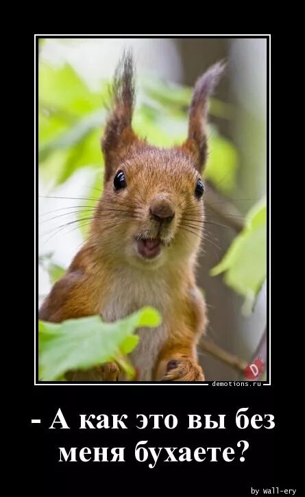 кот с испуганными глазами. с днём рождения меня. без меня празднуете. без меня празднуете. опять бухаете без меня.