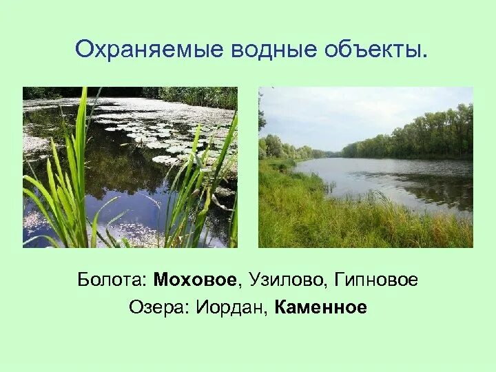 Охраняемые водные объекты. Особо охраняемые водные объекты России. Особо охраняемые водные объекты примеры. Узилово болото. Водные богатства самарской области