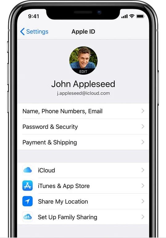Id айфон 6. Apple ID что это на айфоне 11. Apple ID В айфоне 10. Идентификатор Apple ID что это. Apple ID образец.