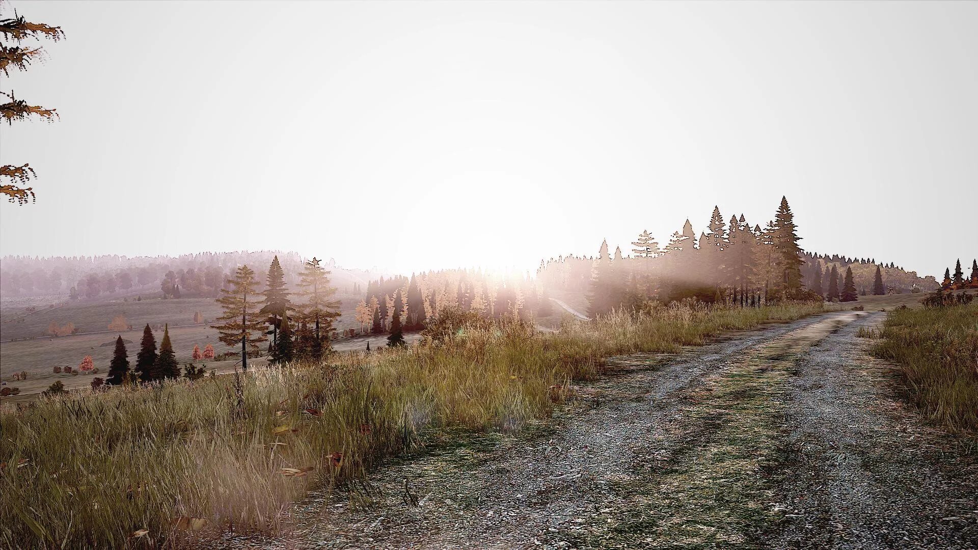 Dayzavr