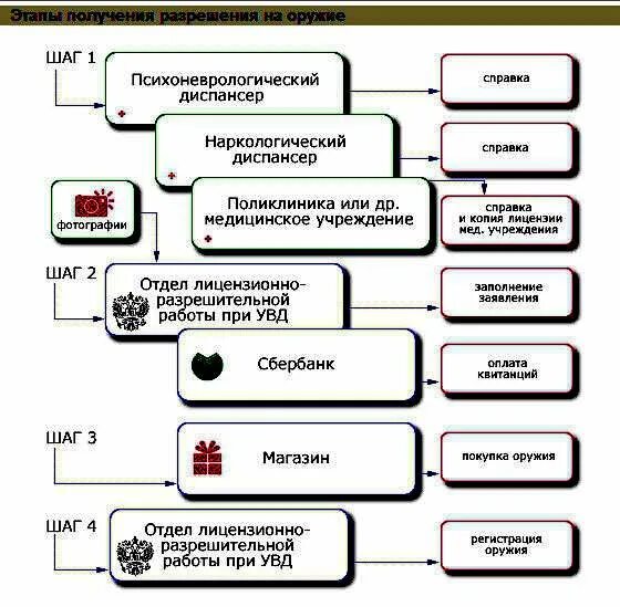 Как получить разрешение на оружие в 2024. Схема получения разрешения на оружие. Алгоритм получения разрешения на оружие. Как получить разрешение на оружие. Получение лицензии на оружие.