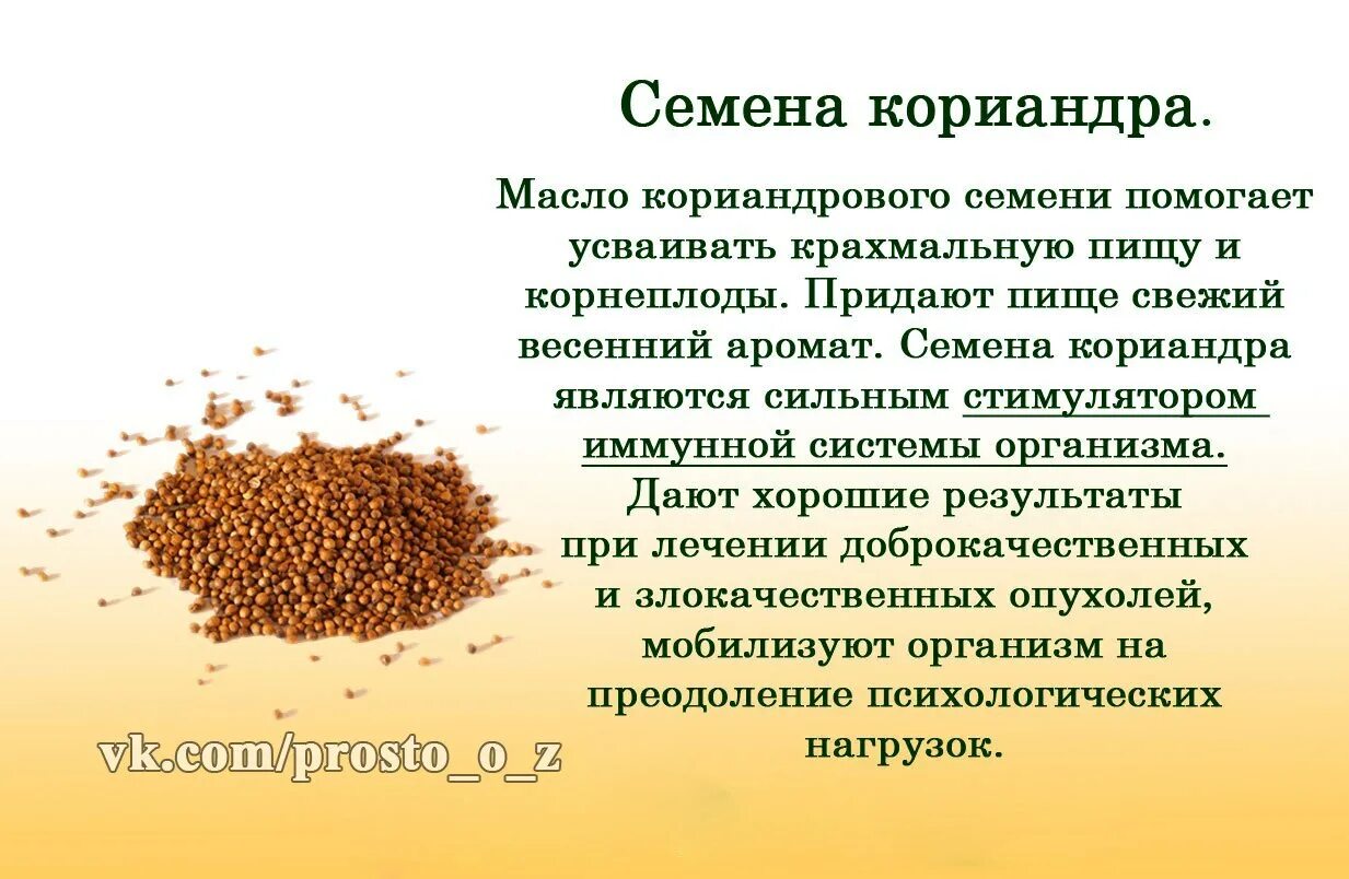 Семена растений. Худеем с семенами льняными семенами. Семена льна. Кому помочь семенами. Кому помочь семенами.