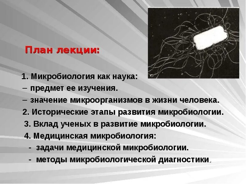 Сообщение о микробиологии 7 класс. История развития микробиологии. этапы развития микробиологии. достижения микробиологии. лекции по микробиологии.