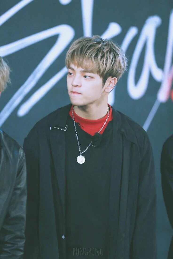 Уджин скз. Woojin stray kids. stray kids kim woo jin. уджин из stray kids.