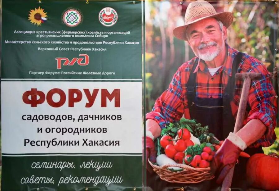 Дача сад огород. Центр садоводов и огородников. Сад и огород. Летний огород. Центр поддержки садоводов и огородников ютуб.