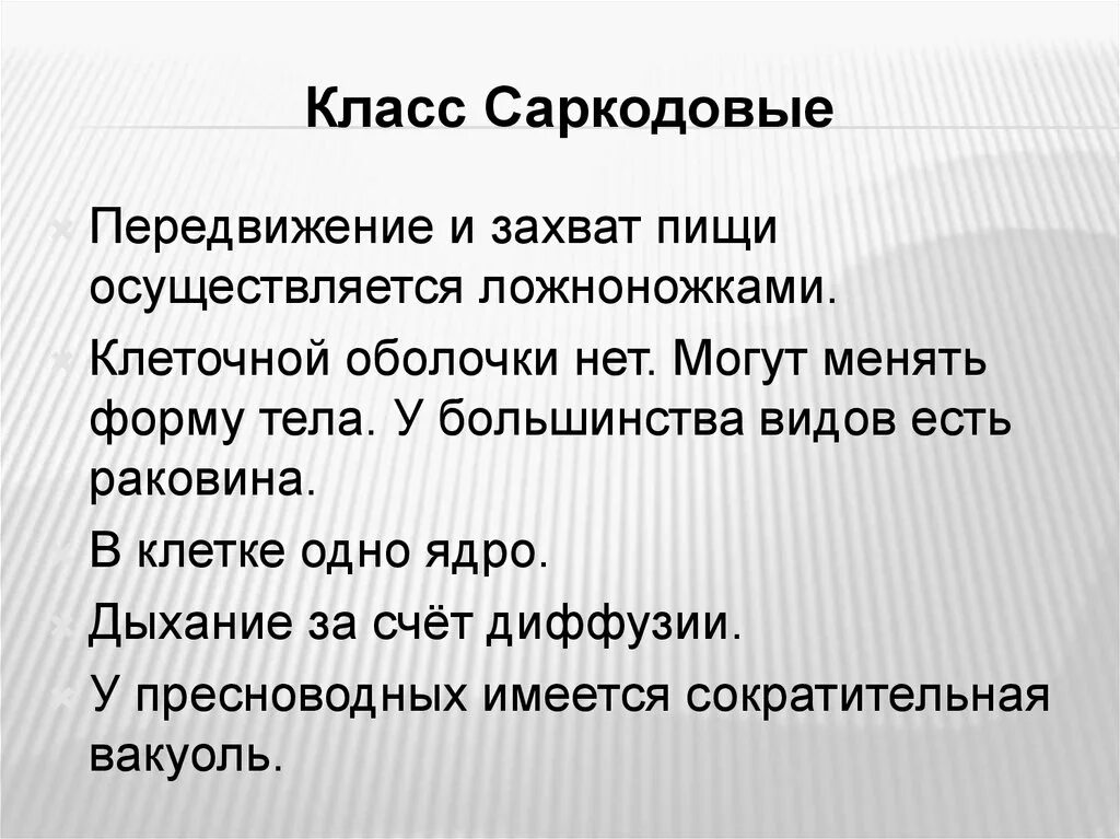 Характеристики класу. Общая характеристика саркодовых. Характеристика класса Саркодовые. Общая характеристика типа Саркодовые. Признаки типа Саркодовые.