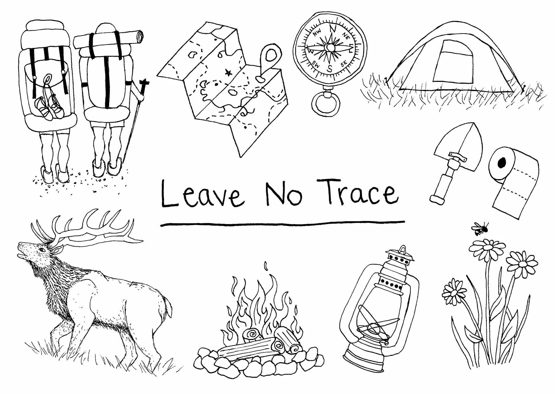 The camp left. Leave no Trace. Leave-no-Trace Camping. Things for Camping. Camping in English.