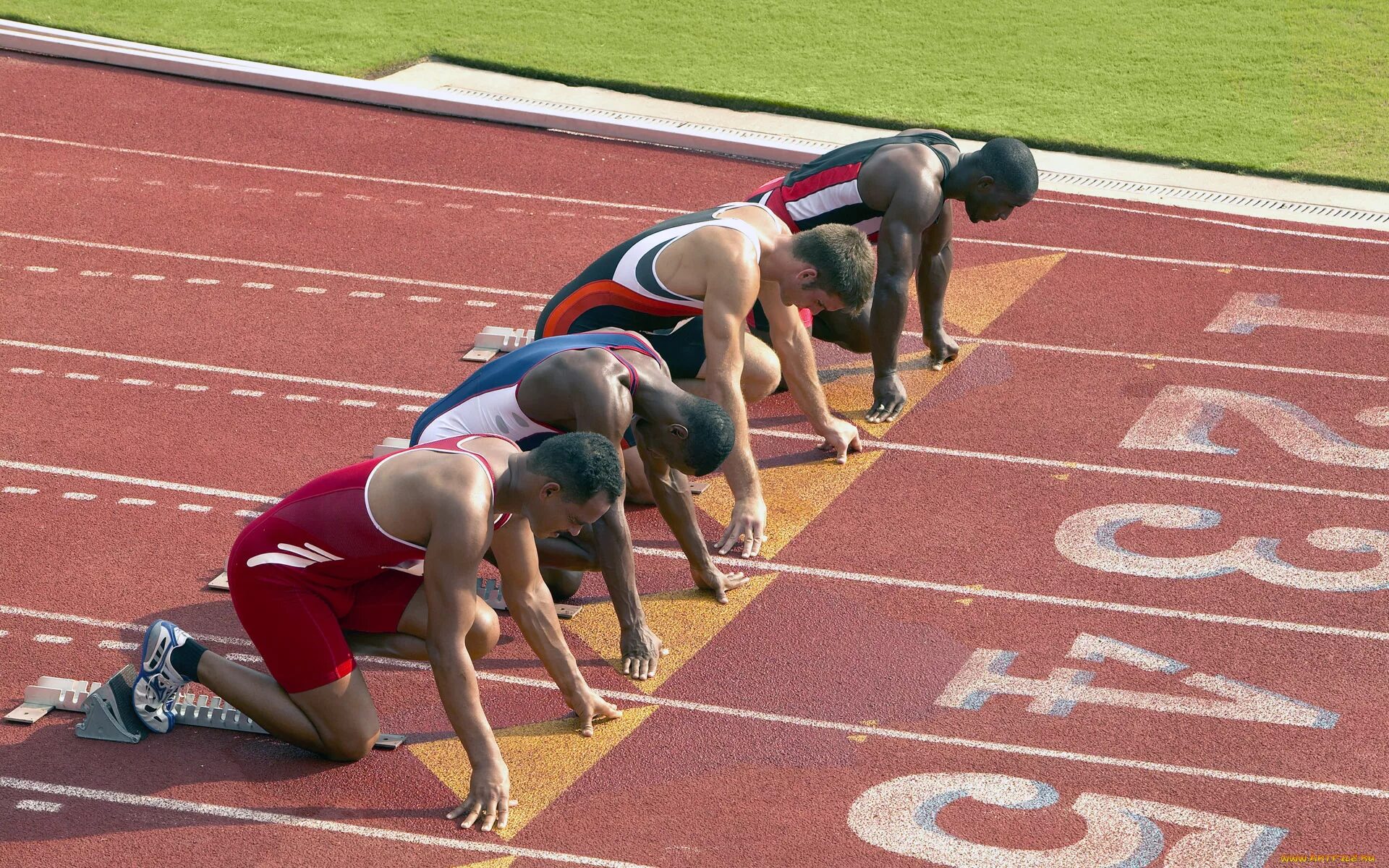 Start in sport. Легкая атлетика спринтерский бег старт. Спринтер Шерилл низкий старт. Легкая атлетика короткие дистанции старт.