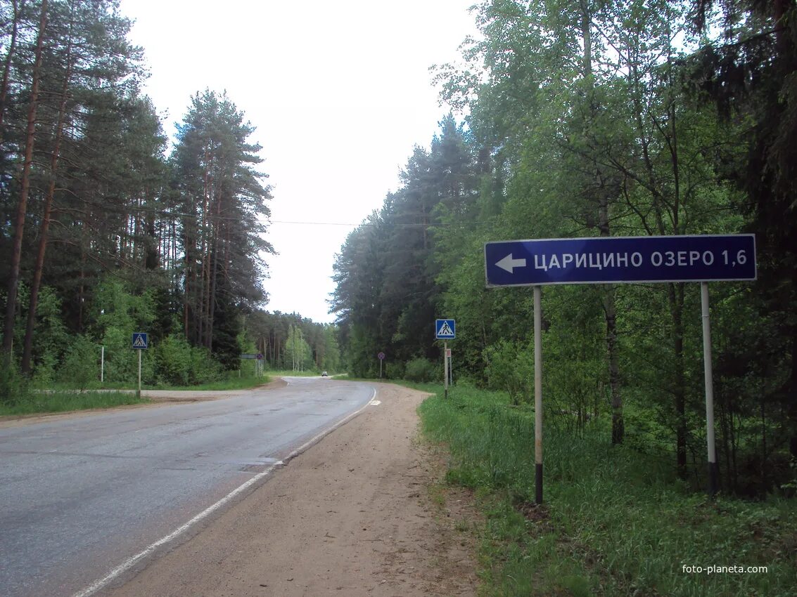 Пвр царицыно озеро. Царицыно озеро Тихвинский. Поселок Царицыно озеро Тихвинский район. Ленинградская область Тихвинский район Царицыно озеро. Пансионат Царицыно озеро.