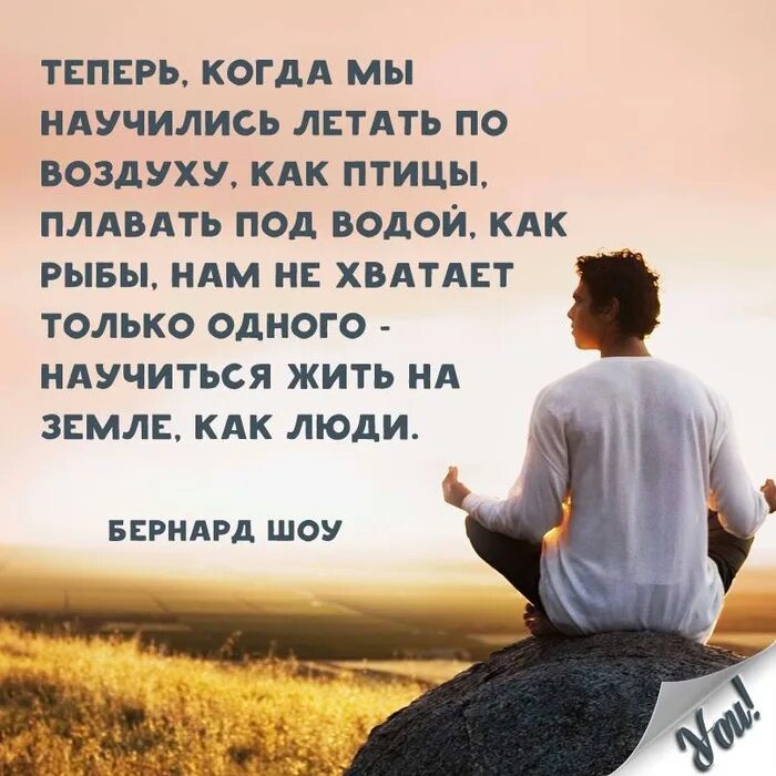 Научиться жить как люди. Научись летать один. научусь летать один. научись летать один цитаты. научиться жить на земле, как люди.