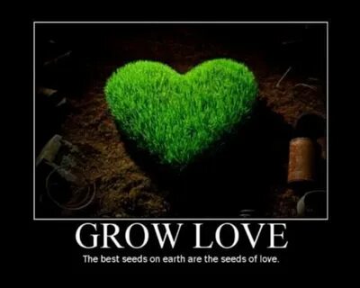 Love grows