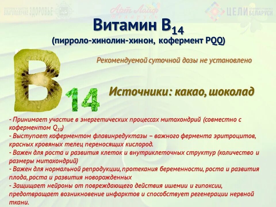 Витамин в14 бады. B14 витамин. Инозитол в8. Витамин в 10 в продуктах. Витамин б15 препараты.