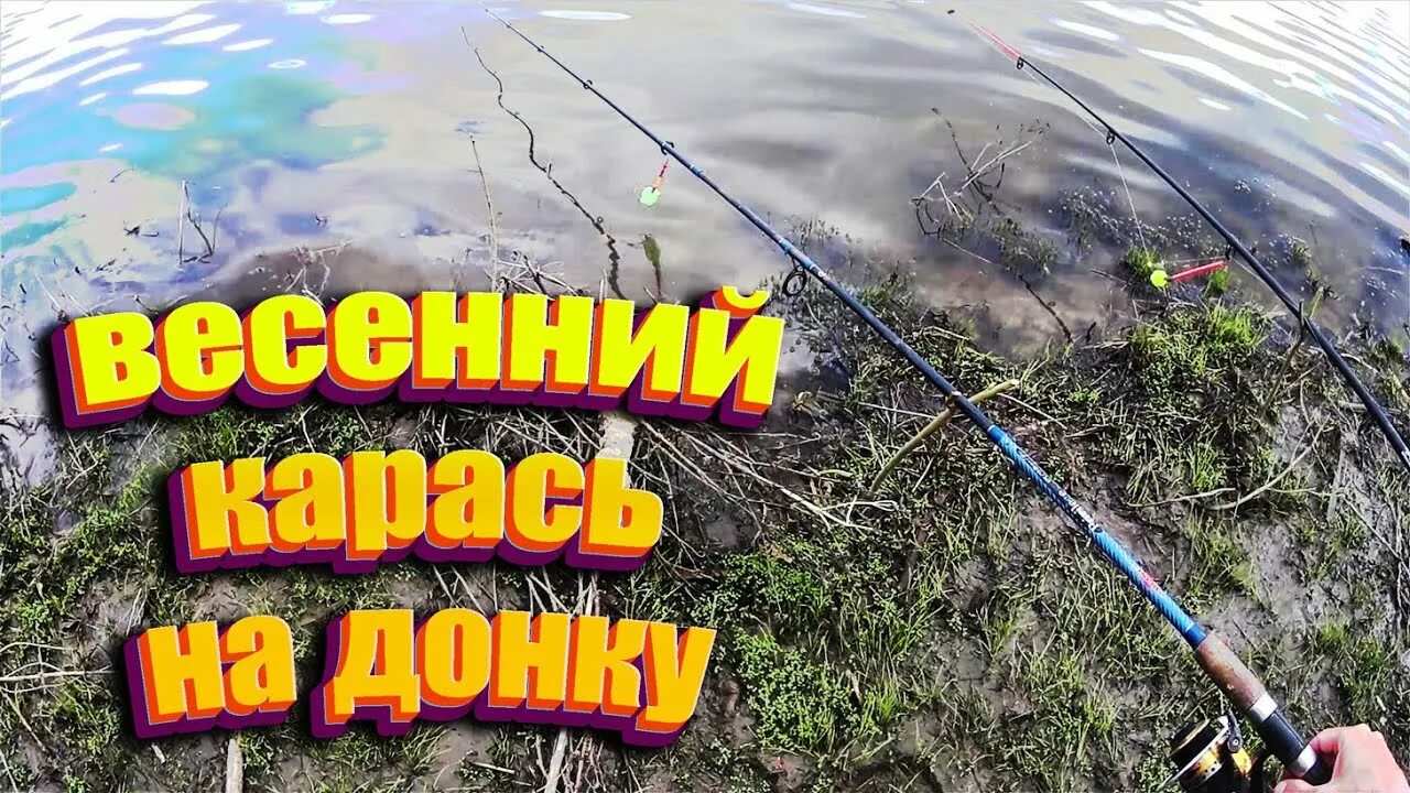 Донка для рыбалки. Хорошего клева. Донка на крупного карася. Активная рыбалка. Когда начинает клевать карась весной в озере