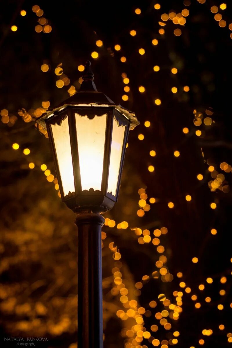 Ночные фонари купить. Уличный фонарь. Красивые фонари. Красивый уличный фонарь. Вечерние фонари.