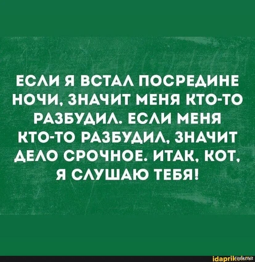 Что означает буди. Итак кот я тебя слушаю. Бывает ждешь веру надежду. Кто меня разбудил.