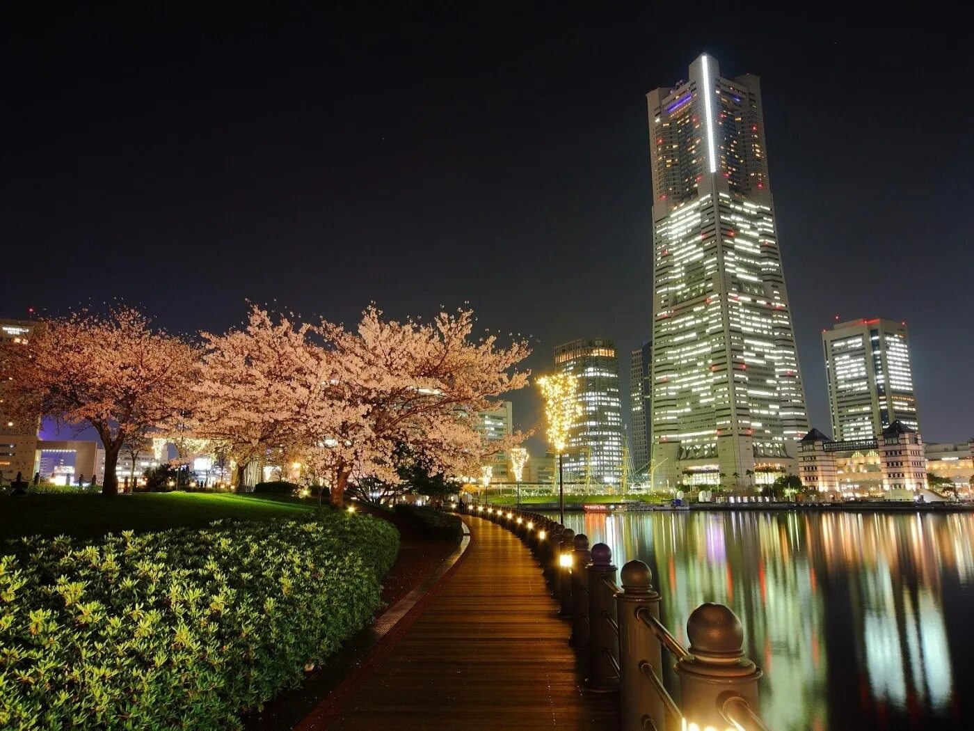 Токио столица японии. Япония 2022 столица. Япония город токио. Токио. Токие.