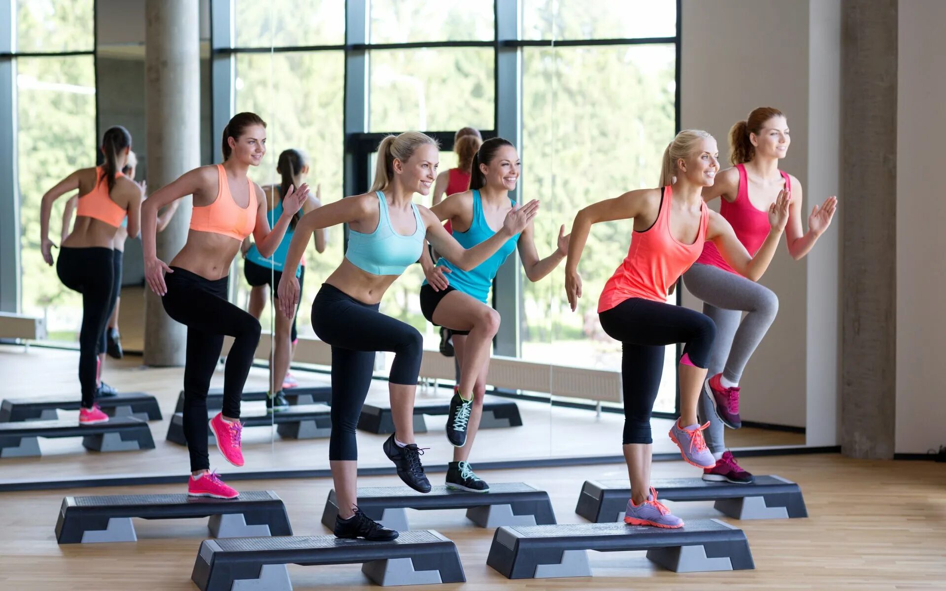 Dds fitness