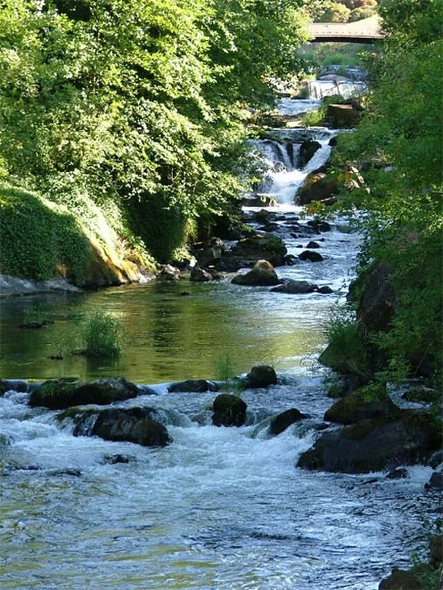 Falling to the river. Река в вашингтоне. река в вашингтоне название. rivers in wa. дешуты.