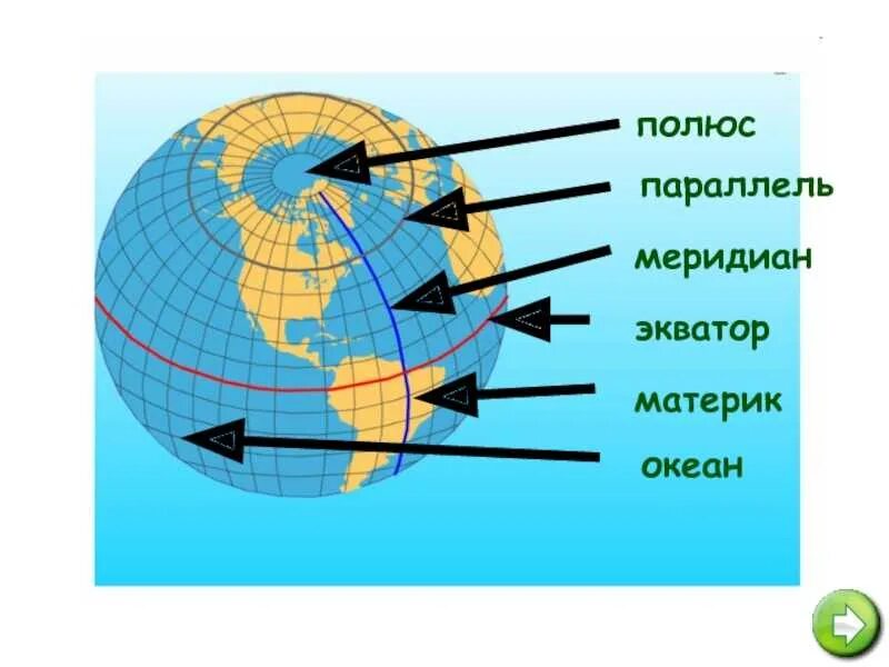 Цвета на глобусе обозначают. Земля с экватором меридианами параллелями. Экватор Меридиан параллель. Экватор это Меридиан или параллель. Что такое,меридианы, параллели, Экватор 2 класс.