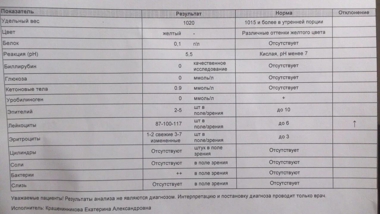 Расшифровка мокроты. Микроскопическое исследование мокроты норма. Клинический анализ мокроты норма. Микроскопия мокроты норма. Общий анализ мокроты результат.