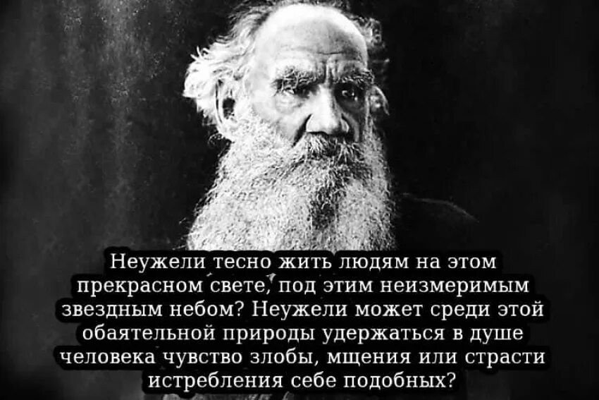 Лев толстой о войне. Лев толстой о патриотизме. Цитаты Толстого о войне. Толстой о России. Высказывание толстого о войне