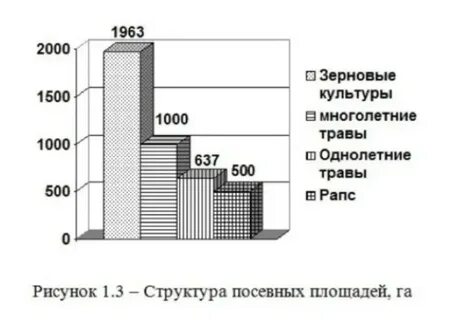 Изображения в курсовой работе