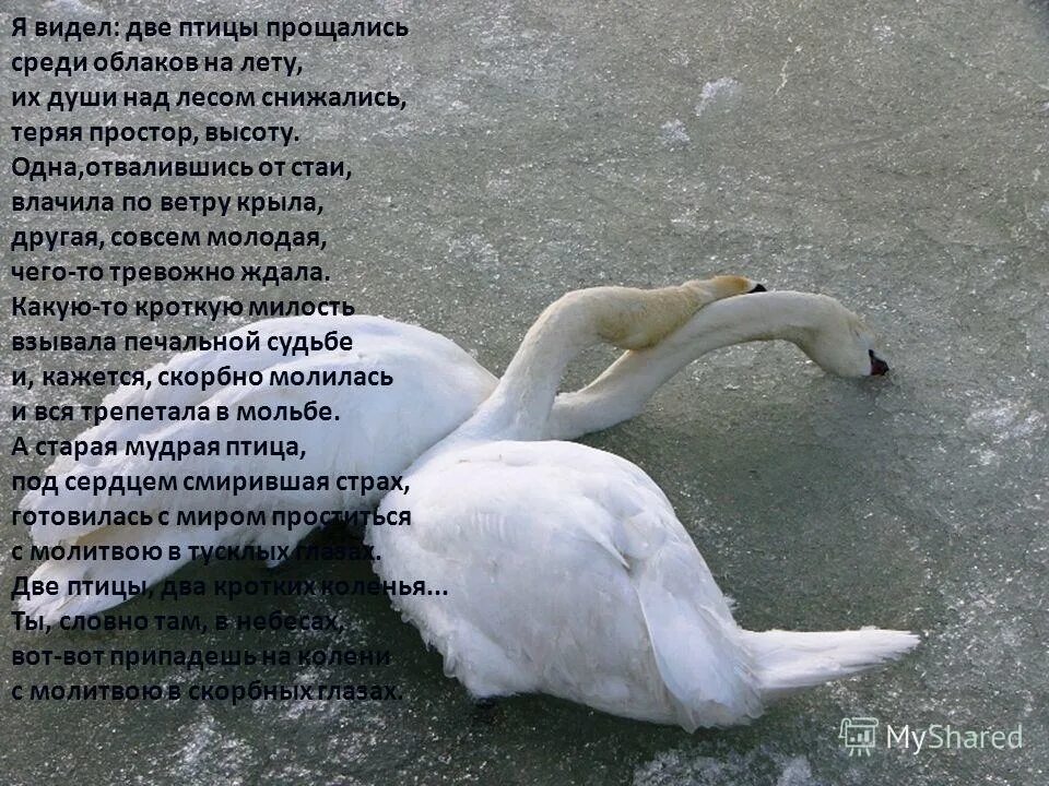 Рождается один цитаты. Человек одинок рождается один. Цитаты коэльо. Два раза рождается один раз умирает. Кто 2 раза родится загадка.