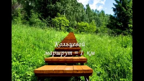 1500 шагов