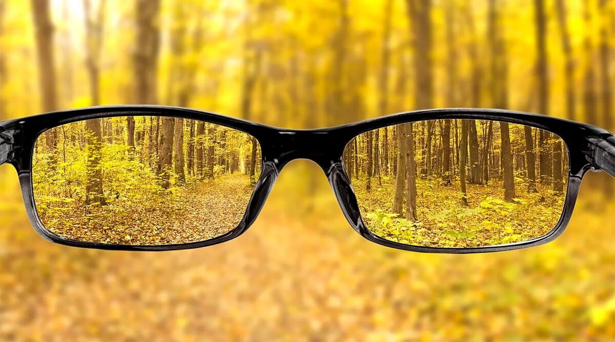 Очки с бифокальными линзами. Отражение гор в очках. Очки вдаль. Очки. Вид через очки для зрения.