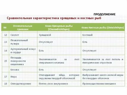 Класс признаки и представители рыбы таблица