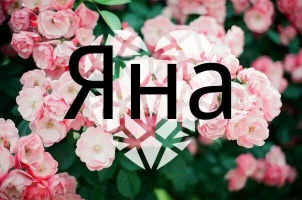 Сайт яны
