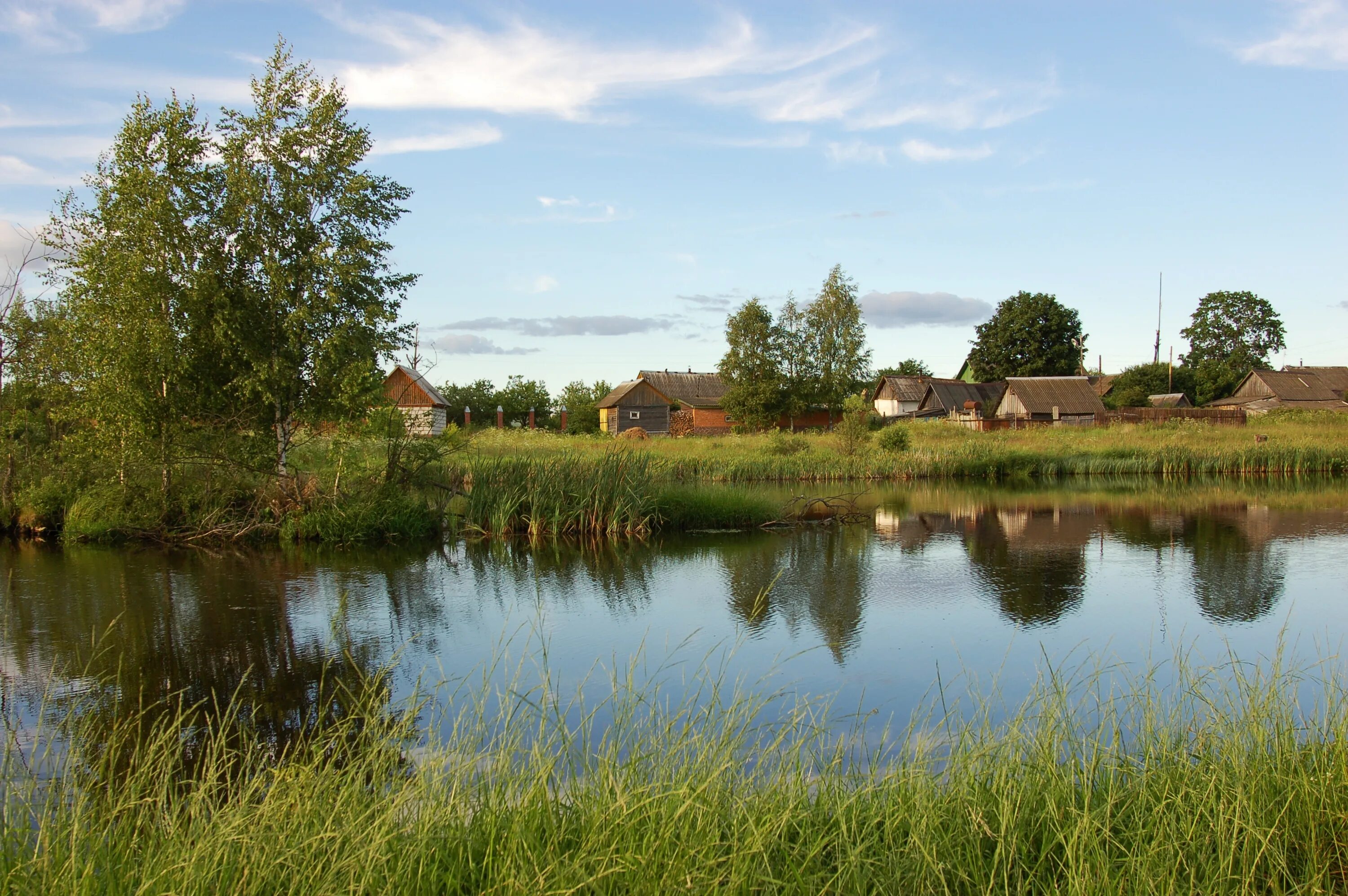 Домик на воде. Деревня у реки. Деревня рядом с речкой. Россия берег реки деревня. Молзино пруд.