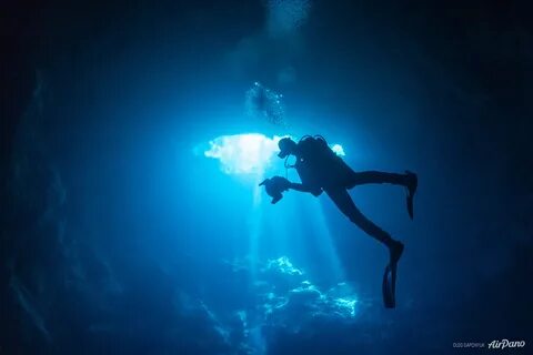 Co high dive