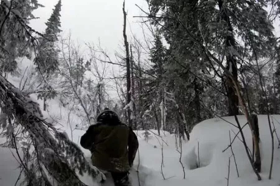 Человек в тайге. Мужик в тайге. Один в тайге.