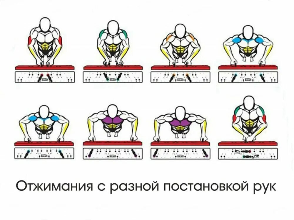 Отжимание вред. Упражнения с упорами для отжиманий для мужчин. Упражнения с упорами для отжиманий для груди. Doskort / упоры для отжиманий. Отжимания узким хватом схема.