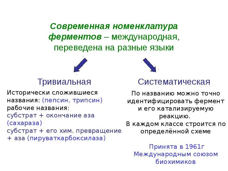 Современный фермент. Современная классификация и номенклатура ферментов. Классификация и номенклатура ферментов. Шифр ферментов.. Принципы номенклатуры ферментов. Каковы принципы номенклатуры ферментов.