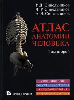 Анатомия книга синельников