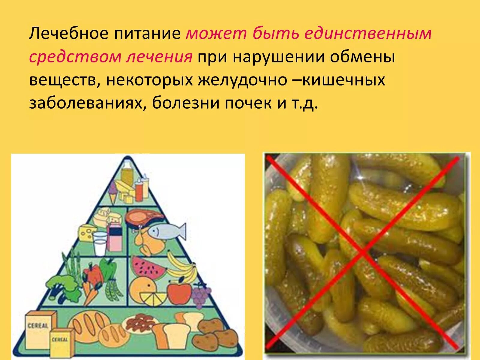 Питанием называют