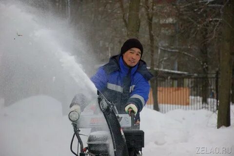 Дворник 2018 года