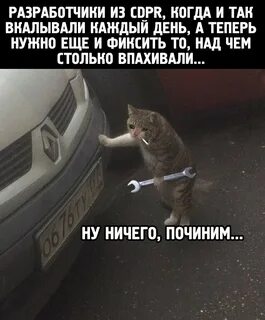 Удивляться тут нечему